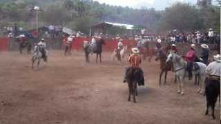 Jaripeo Copales Michoacan [upl. by Cirle]