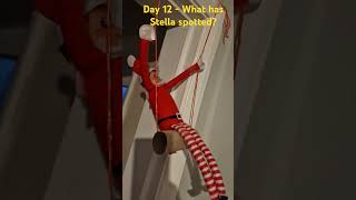 Day 12  What has Stella spotted elf elfontheshelfideas christmas shorts [upl. by Seve]