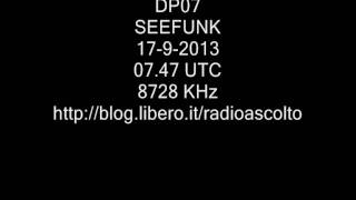 DP07 SEEFUNK 8728 KHz [upl. by Hera]