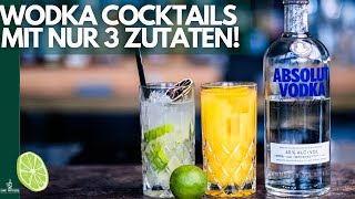 Vodka Cocktails mit nur 3 Zutaten 😱 SchnellEinfach [upl. by Nylirehc]