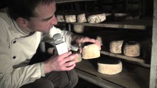 JeanFrançois Dubois affinage des fromages Canastra [upl. by Annonyw649]