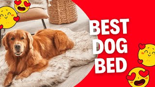 Best dog bed  Orthopedic Dog Bed [upl. by Warfeld]