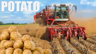 Potato Farming amp Processing  Start to Finish [upl. by Nnaeirual]