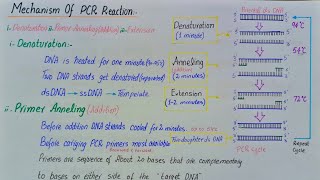 Polymerase chain reaction  PCR  class 12 [upl. by Eceeryt]