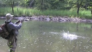 Fishing the Bluestone River WV Smallmouth Bass [upl. by Lasiaf]