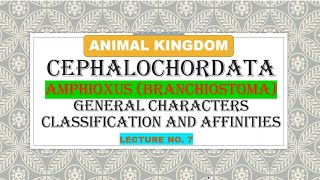 CEPHALOCHORDATABRANCHIOSTOMAAMPHIOXUSGENERAL CHARACTERCLASSIFICATIONAFFINITIES [upl. by Nidnal]