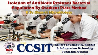 BScSem5  Micro Prac  Isolation of Antibiotic Resistant Bacterial Population By Gradient Plate [upl. by Phira808]