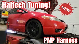 8th gen Civic SI Haltech tuning  more [upl. by Aiyram]