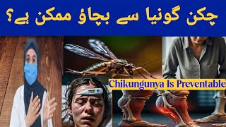 Chikungunya Fever Causes Signs and Symptoms Diagnosis amp Treatment  Dr Muqadus Official [upl. by Yasibit]