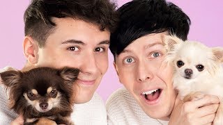 Dan and Phil AND DOGS [upl. by Ettevahs930]