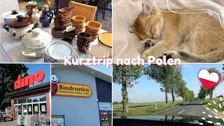 Einkaufen in Polen mit Mama 🇵🇱 Unser neues Familienmitglied 😍 VLOG [upl. by Balfour]