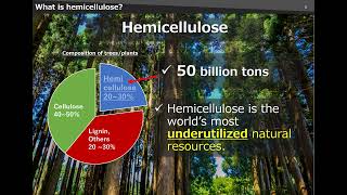 COP29 HEMIX™ bioplastics Hemicellulose Ltd presentation ver3 [upl. by Ahsienaj542]