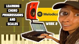 Chord Progressions HURT MUSIC THEORY with Melodics [upl. by Gare]