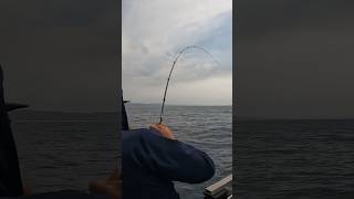 Oregon Oceab Salmon Fishing BAIT OUTFISHED JUNK yakventures salmon [upl. by Malek]