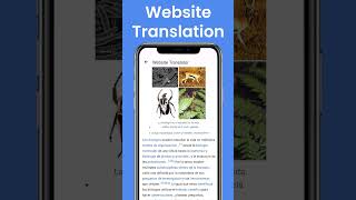 Website Translator [upl. by Bailey]