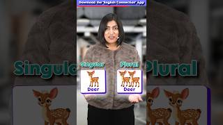 12 Irregular Plurals ✅ You Must Know 😱  Singular vs Plural Words  English Connection shorts [upl. by Veator131]