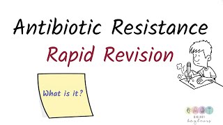 Antibiotic resistance 2024Biology Bugbears Rapid Revision [upl. by Ludwog470]