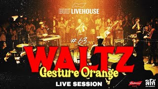 Gesture Orange  WALTZ Live Session [upl. by Alleuqcaj]