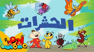 Adam Wa Mishmish  Insects Kids Songs  أغاني أطفال آدم ومشمش  الحشرات [upl. by Sellers]