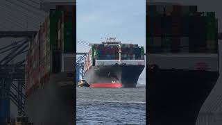 Power of the Tugboat Assisting a Giant Container Ship Out of Savannah Harbor 🌊🚢 [upl. by Leander]