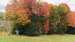 Ellicottville NY Holiday Valley Resort Fall Festival 2020 [upl. by Niassuh]