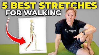 5 Best Stretches for Walking [upl. by Cantlon]