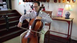 Demonstration of Hidersine Vivente Cello  Simply For Strings [upl. by Mail313]