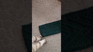 Essayer de tourner une vidéo tricot avec un chat jaloux 😅 tuto du bandeau Sapin sur le blog [upl. by Borlow500]