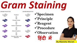 Gram Staining  Gram staining procedure  gram staining principalreagent procedure microbiology [upl. by Maury215]