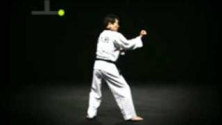 7º Poomsae Chonkwon [upl. by Lucien]