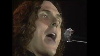 WEIRD AL Polkarama 2007 Live [upl. by Narot]