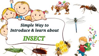 InsectSimply way to identify Insect  Insect name with picture [upl. by Eejan28]