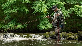 250 Fly Fishing Moments On The River  Nature  Relaxing [upl. by Sterling497]