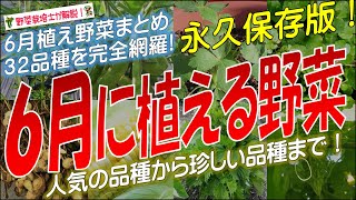 6月に植える野菜（32品種）永久保存版 [upl. by Annovahs404]