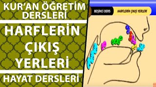 Harflerin Çıkış Yerleri  Kuran Öğretmeni [upl. by Nissa572]