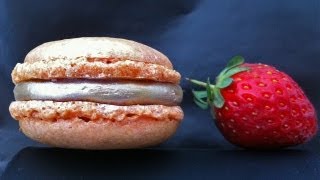 Nut Free Macaron Recipe  by Ann Reardon How to Cook That Ep040 [upl. by Soni157]