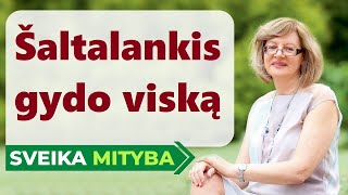 Mitybos formulė  Šaltalankiai gydo viską [upl. by Edi655]