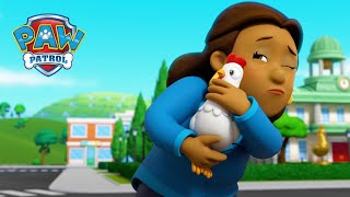 Das Huhn oder das Ei  PAW Patrol Germany  Cartoons für Kinder [upl. by Clotilde]