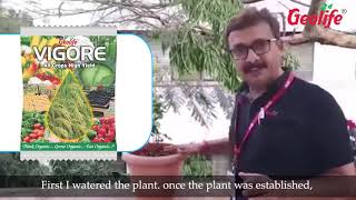 Ornamental Plant Vigore Hindi [upl. by Nakashima]