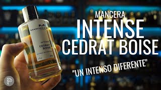 ¿ES DIFERENTE INTENSE CEDRAT BOISE  PP [upl. by Dante219]