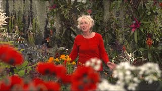 Gardeners World Rerun Eps 36 [upl. by Akemak53]