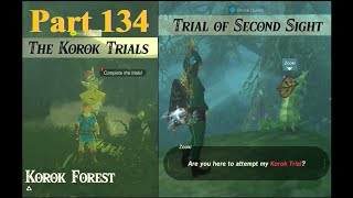 Zelda  Botw  Trial of Second Sight Chios The Korok Trials [upl. by Torosian]