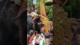 Thirumandhamkunnu Pooram 2023  Angadippuram  Festival date announce [upl. by Alyahsal150]