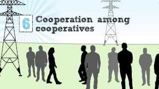 The Cooperative Business Model — The Seven Cooperative Principles [upl. by Shimberg]