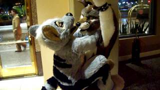 Serpy Pounces Jager FurCon 2010 [upl. by Gillman149]