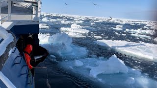 Greenland longline fishing 2023 [upl. by Younglove438]