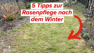 5 Tipps für die Rasenpflege nach dem Winter Das solltest du unbedingt beachten [upl. by Glavin]