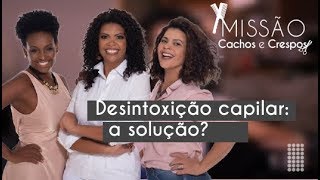 23 Desintoxicação capilar  É a solução [upl. by Akalam]