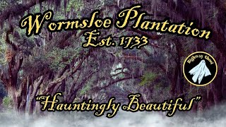 Wormsloe Plantation in Savannah Georgia Hauntingly Beautiful [upl. by Remmus928]