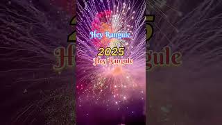 New year celebrationcomming soonAll the our new year youtubeshorts [upl. by Gibbeon]